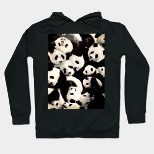 Pandas Hoodie